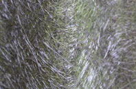 St Anns Chapel fibreglass roof work